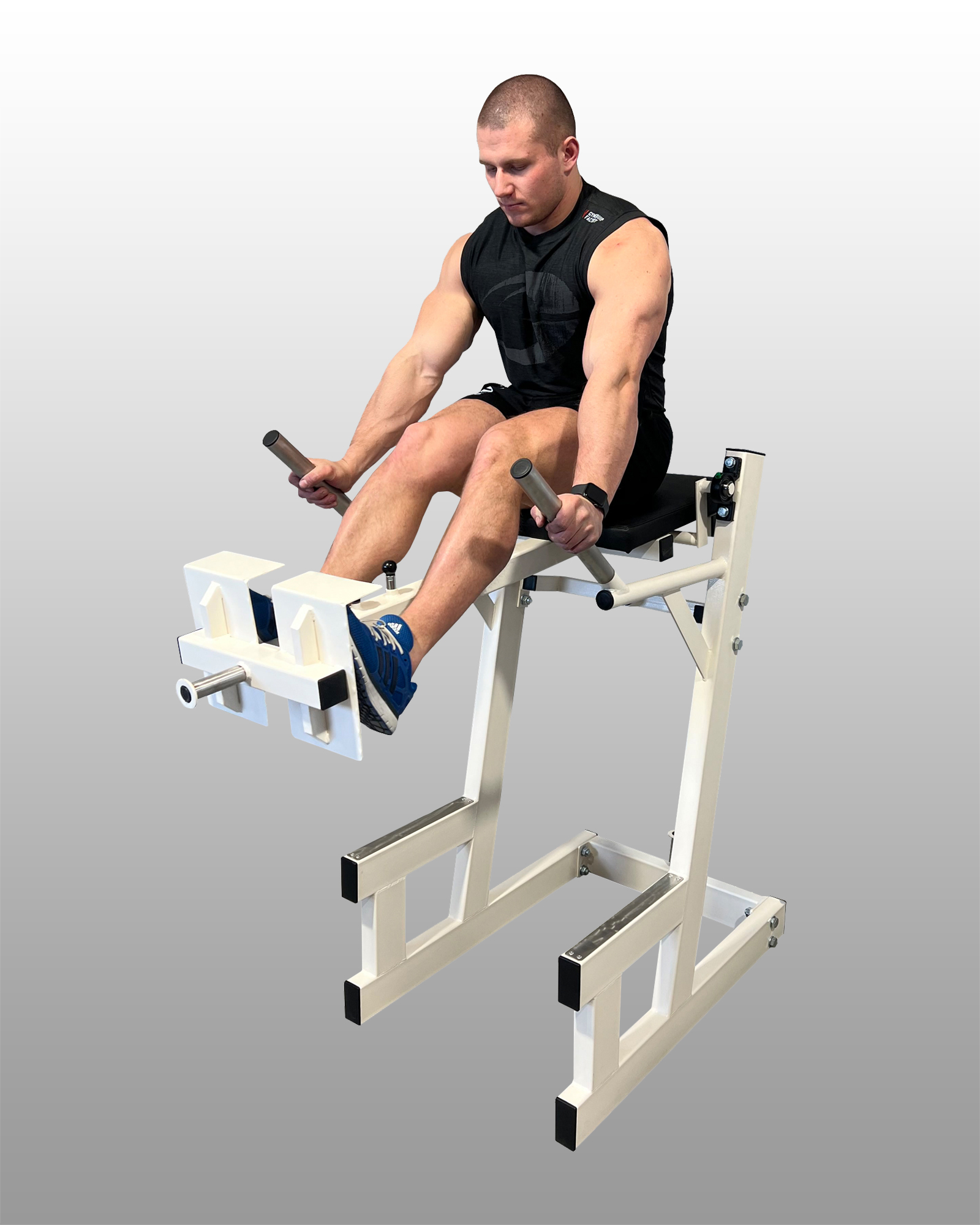 E4 Leg Raise Abdominal Machine  Gym Steel - Professional Gym Equipment